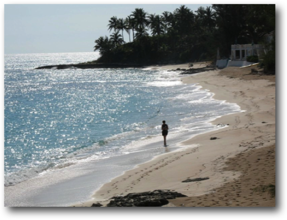 There are scores of fabulous beaches for walks, shelling and snorkeling 